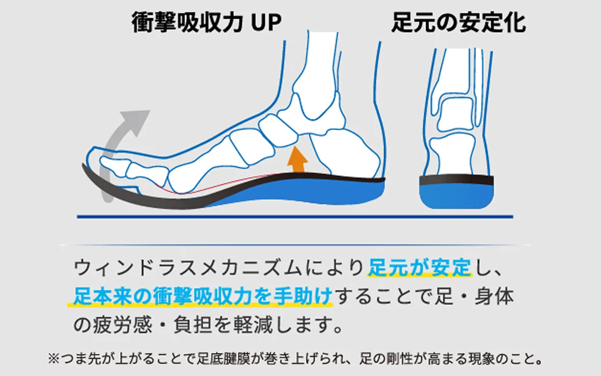 ウィンドラスメカニズムにより足元が安定し、足本来の衝撃吸収力を手助けすることで足・身体の疲労感・負担を軽減します。